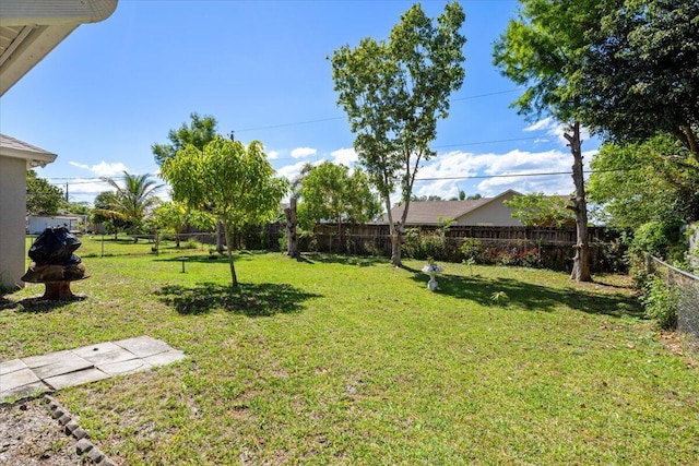 531 SE Evergreen Ter, Port Saint Lucie, FL 34983 - view of yard