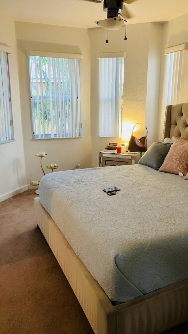 3608 Shoma Dr, Royal Palm Beach, FL 33414 - carpeted bedroom featuring multiple windows and baseboards