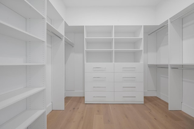 walk in closet featuring light wood-type flooring