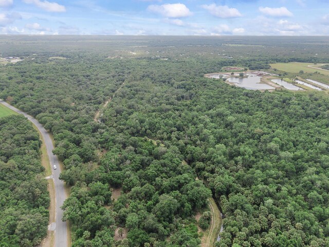 32801 US Highway 441 N Unit 64, Okeechobee, FL 34972 - aerial view of a forest and a large body of water
