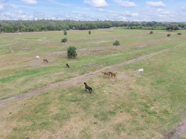 32801 US Highway 441 N Unit 64, Okeechobee, FL 34972 - view of rural area with a pastoral area