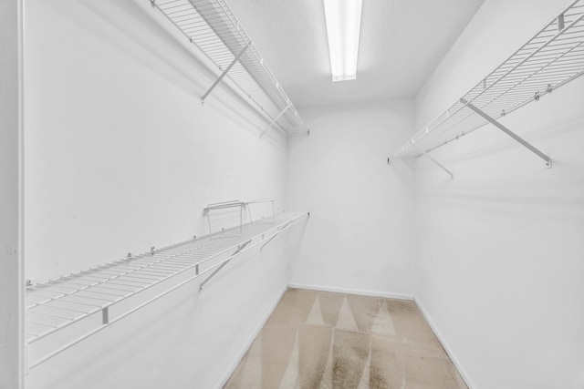 spacious closet with carpet floors