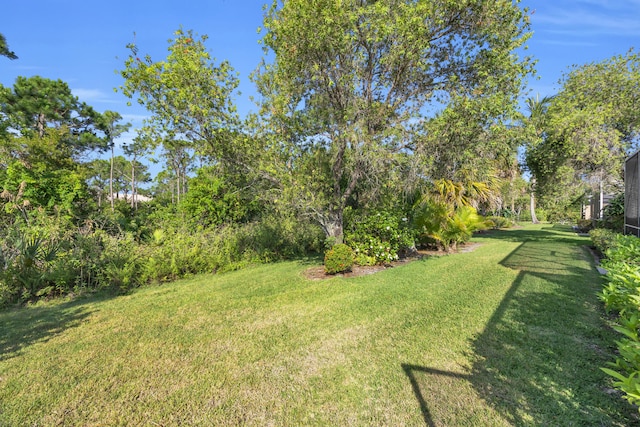 view of grassy yard