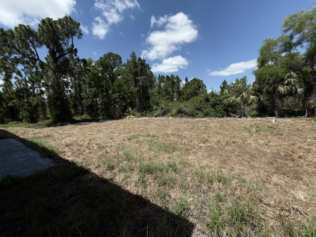 382 Mcarthur Blvd, Lehigh Acres, FL 33974 - view of yard