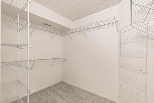 spacious closet featuring carpet floors