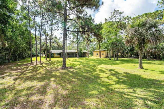 4901 129th Ave N, The Acreage, FL 33411 - view of grassy yard with view of wooded area