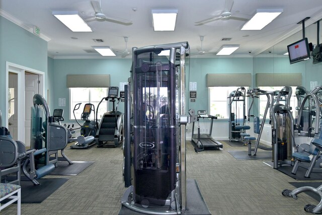 1310 S Jeaga Dr, Jupiter, FL 33458 - exercise room featuring a ceiling fan, carpet floors, and crown molding