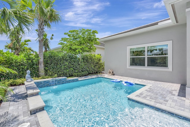 view of swimming pool featuring a patio