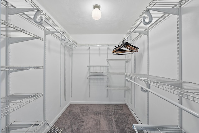 spacious closet with carpet flooring