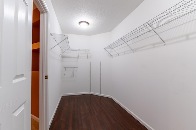 2853 SE Melaleuca Blvd, Port Saint Lucie, FL 34952 - spacious closet with wood finished floors