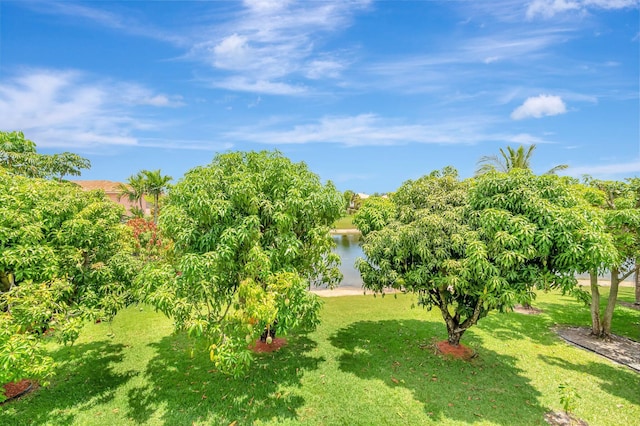 116 Ibisca Ter, Royal Palm Beach, FL 33411 - view of green lawn with a water view