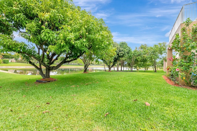 116 Ibisca Ter, Royal Palm Beach, FL 33411 - view of grassy yard with a water view