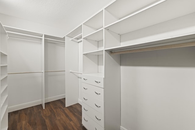 6342 120th Ave N, The Acreage, FL 33412 - spacious closet featuring dark wood-style flooring