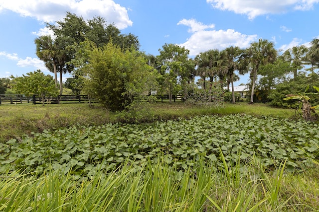 6342 120th Ave N, The Acreage, FL 33412 - view of yard featuring fence