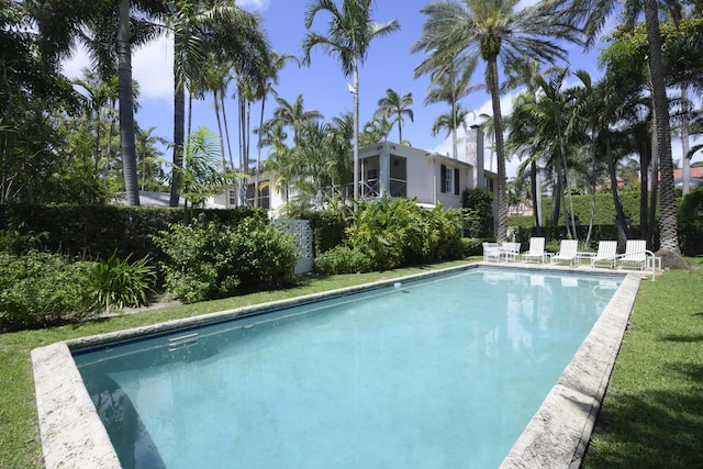 218 El Brillo Way, Palm Beach, FL 33480 - view of pool