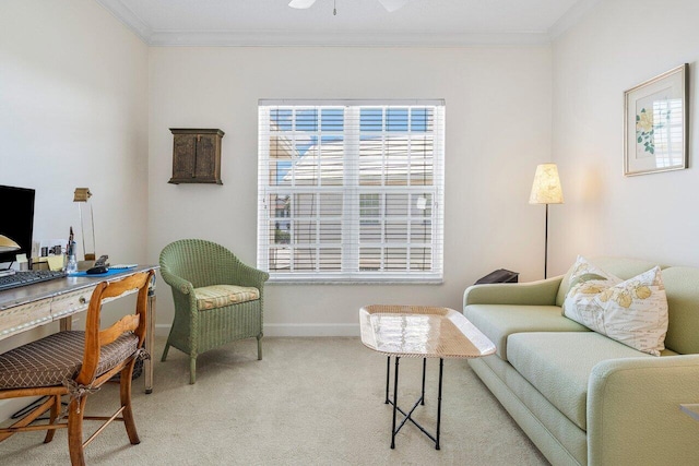 5900 Old Ocean Blvd Unit C6, Ocean Ridge, FL 33435 - office with crown molding, carpet floors, and baseboards