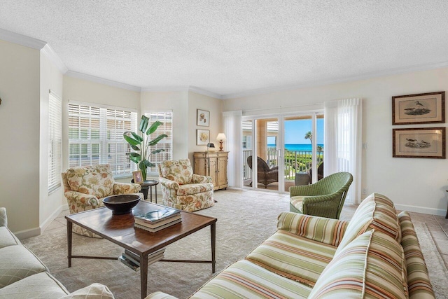 5900 Old Ocean Blvd Unit C6, Ocean Ridge, FL 33435 - living area featuring crown molding, a textured ceiling, baseboards, and light colored carpet