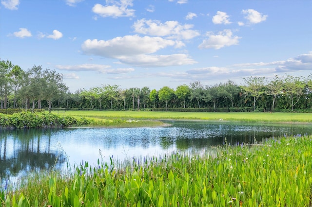 12582 Copper Mountain Pass, Boynton Beach, FL 33473 - water view featuring a forest