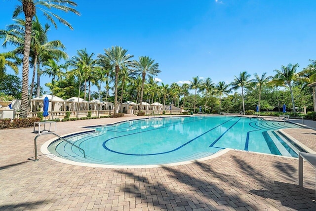 17709 Circle Pond Ct, Boca Raton, FL 33496 - community pool featuring view of wooded area
