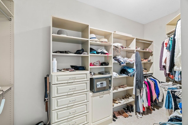 3740 S Ocean Blvd Unit 403, Highland Beach, FL 33487 - walk in closet with carpet