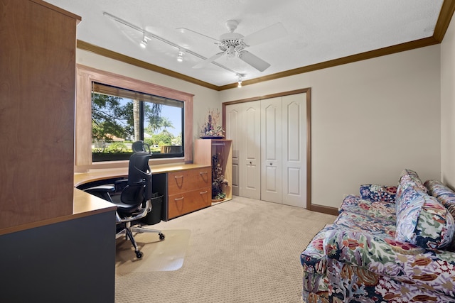 office featuring ornamental molding, light colored carpet, ceiling fan, and rail lighting