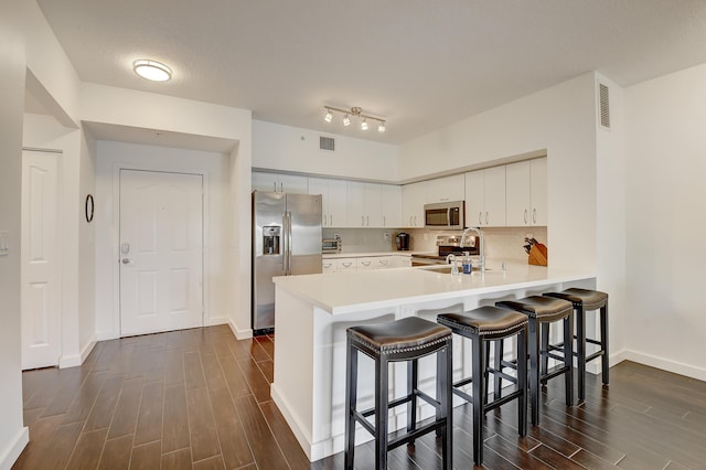 255 NE 3rd Ave Unit 2-516, Delray Beach, FL 33444 - kitchen featuring stainless steel appliances, wood finish floors, a peninsula, and light countertops