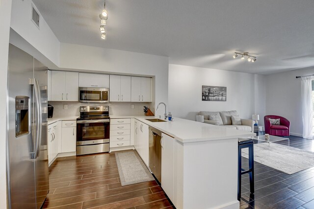 255 NE 3rd Ave Unit 2-516, Delray Beach, FL 33444 - kitchen featuring appliances with stainless steel finishes, a sink, wood finish floors, and a peninsula