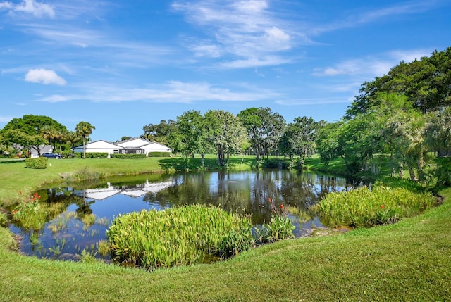 water view