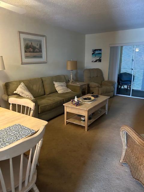2724 S Garden Dr Unit 311, Lake Worth, FL 33461 - carpeted living area with a textured ceiling