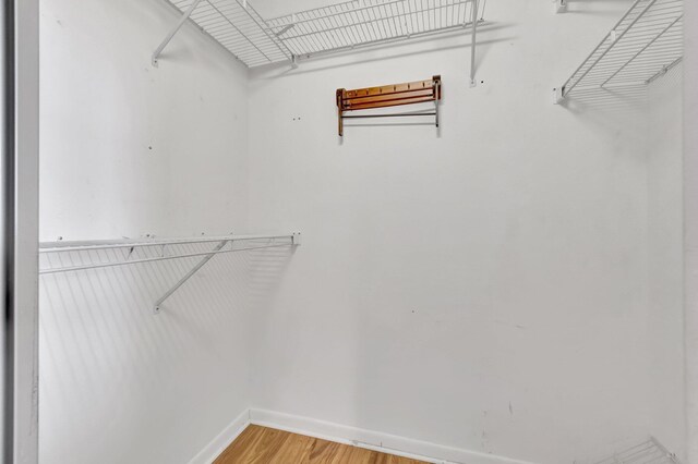 6078 Sunny Pointe Cir, Delray Beach, FL 33484 - walk in closet featuring light wood-type flooring