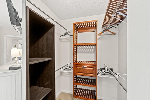 234 Pine Hov Cir Unit B-1, Greenacres, FL 33463 - view of spacious closet