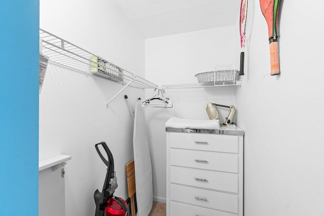 234 Pine Hov Cir Unit B-1, Greenacres, FL 33463 - view of walk in closet