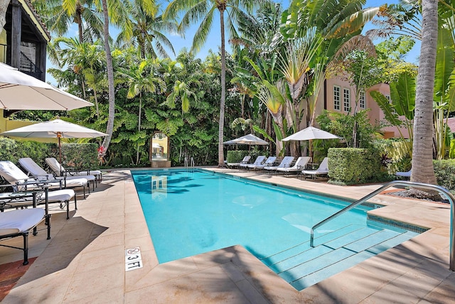 301 Australian Ave Unit 305, Palm Beach, FL 33480 - community pool featuring a patio area