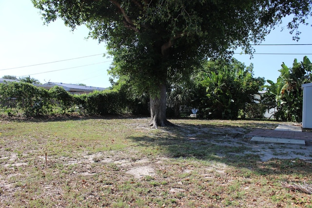 view of grassy yard