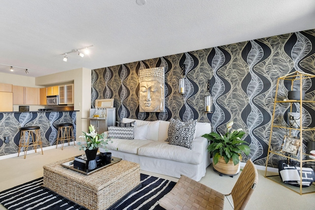 1551 N Flagler Dr Unit 804, West Palm Beach, FL 33401 - carpeted living area featuring track lighting and a textured ceiling