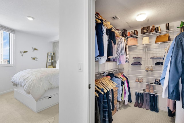 1551 N Flagler Dr Unit 804, West Palm Beach, FL 33401 - spacious closet featuring carpet floors