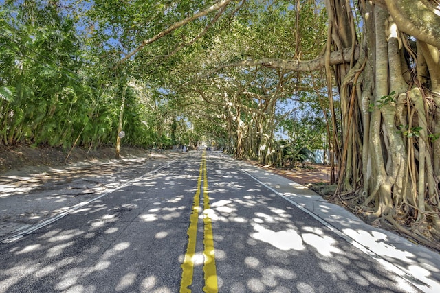 3020 SE St Lucie Blvd, Stuart, FL 34997 - view of asphalt road