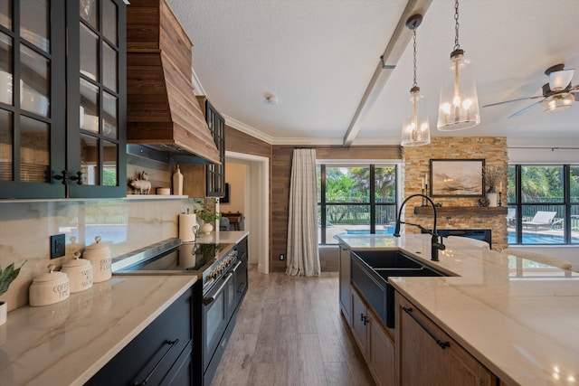 17315 Orange Blvd, Loxahatchee, FL 33470 - kitchen featuring high end stainless steel range, a sink, custom exhaust hood, light wood finished floors, and light stone counters