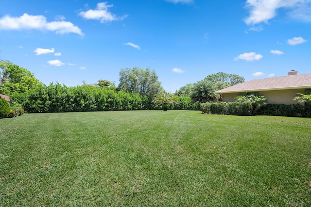 17315 Orange Blvd, Loxahatchee, FL 33470 - view of green lawn