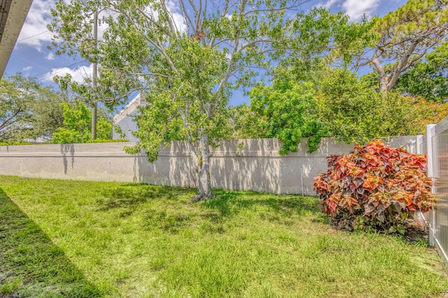 view of yard