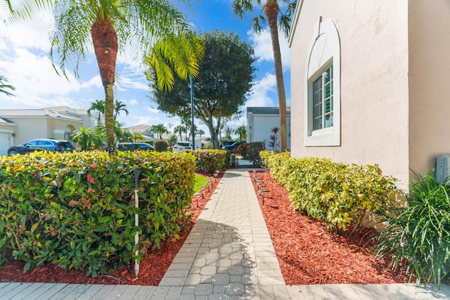 7884 Travlers Tree Dr, Boca Raton, FL 33433 - view of yard