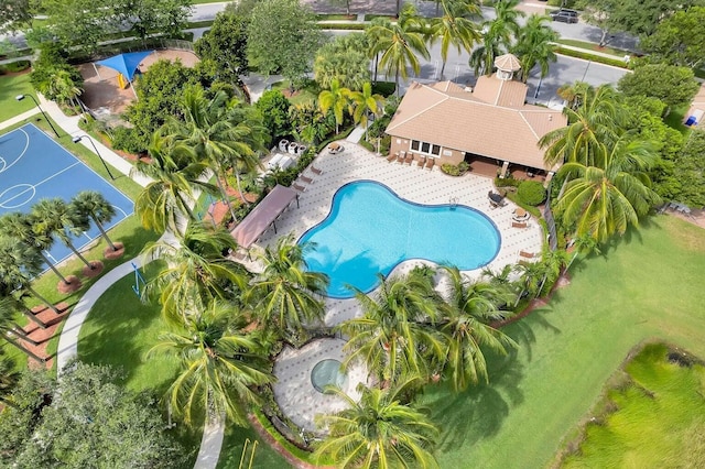aerial view of a pool