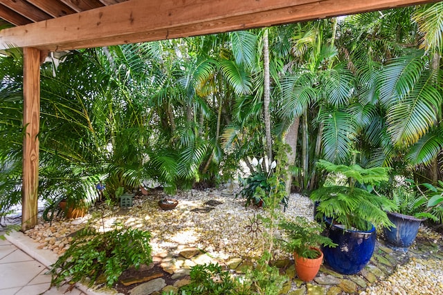 1116 NE Oceanview Cir, Jensen Beach, FL 34957 - view of yard