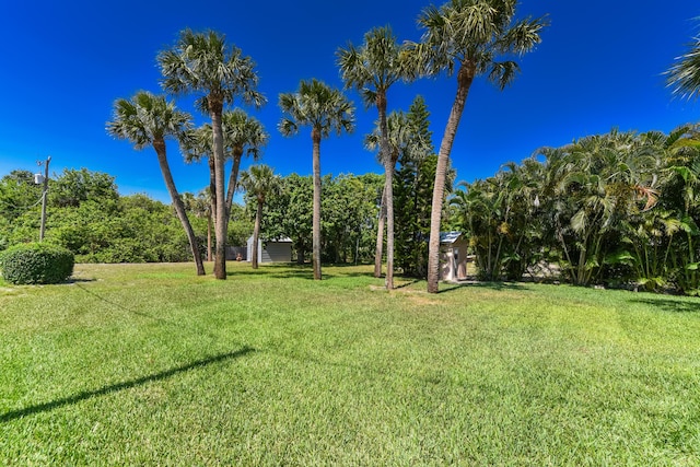 1116 NE Oceanview Cir, Jensen Beach, FL 34957 - view of green lawn