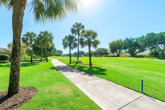 view of community featuring a yard