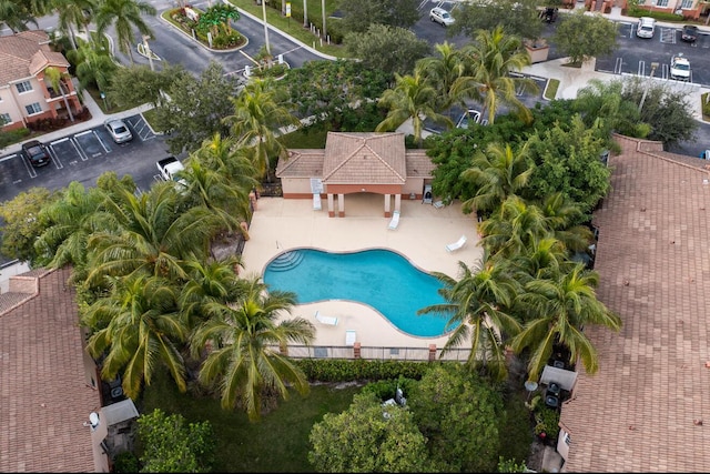 bird's eye view of a pool