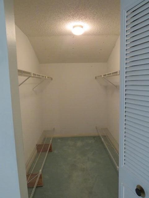 816 Sky Pine Way Unit H, Greenacres, FL 33415 - walk in closet with lofted ceiling