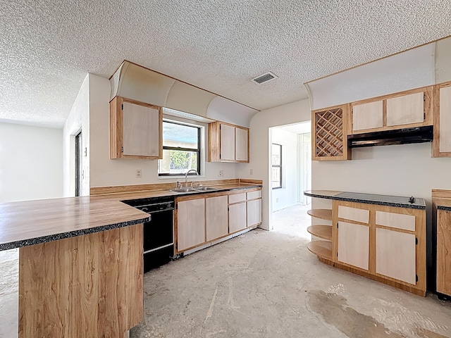 5701 Autumn Ridge Rd, Lake Worth, FL 33463 - kitchen featuring dishwasher, under cabinet range hood, a sink, a peninsula, and a textured ceiling