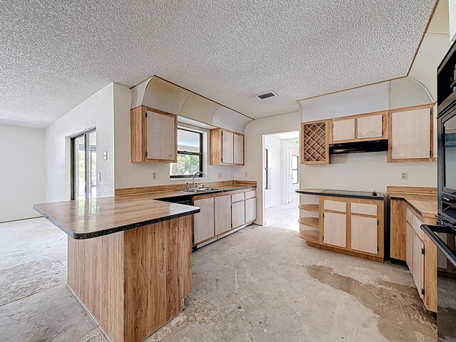 5701 Autumn Ridge Rd, Lake Worth, FL 33463 - kitchen with a peninsula, a textured ceiling, under cabinet range hood, a sink, and concrete floors