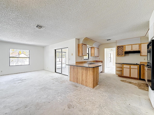 5701 Autumn Ridge Rd, Lake Worth, FL 33463 - kitchen featuring open floor plan, a sink, under cabinet range hood, healthy amount of natural light, and a textured ceiling